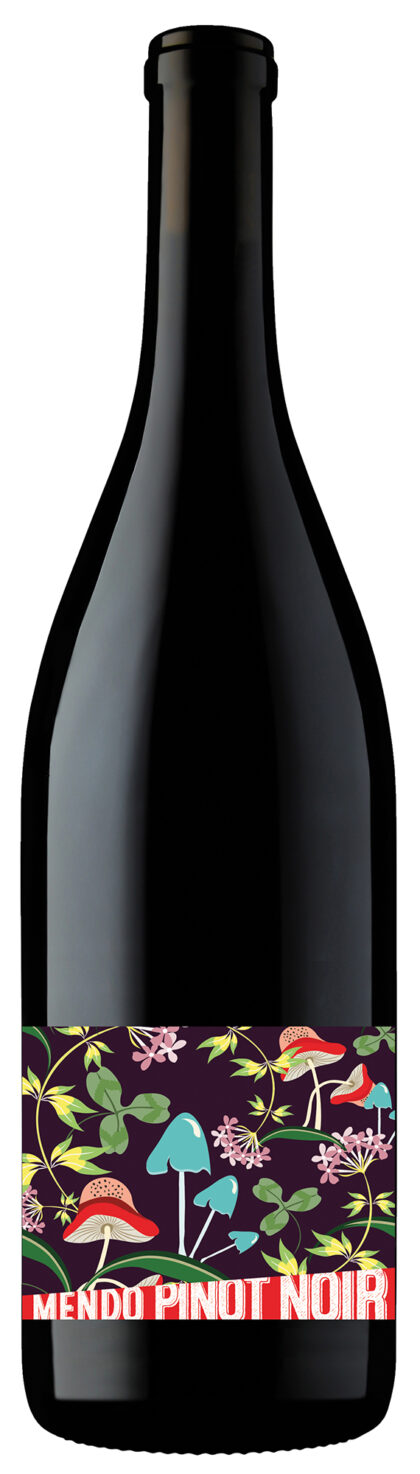 - Mendo Pinot Noir  Mendocinos Coastal Vineyards Leo Steen 2020