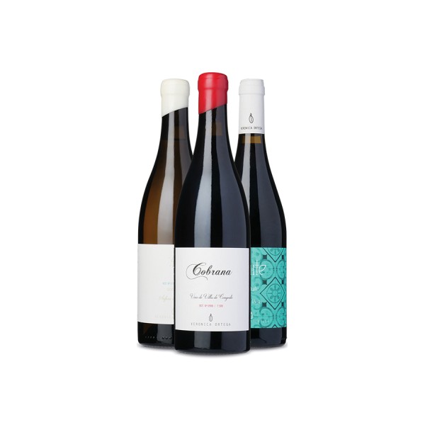 Bierzo-tema   Vin For Begyndere
