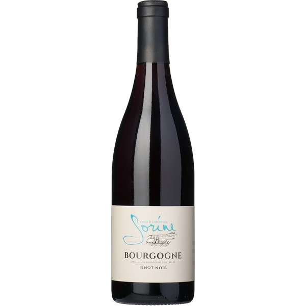Bourgogne Pinot Noir 2022