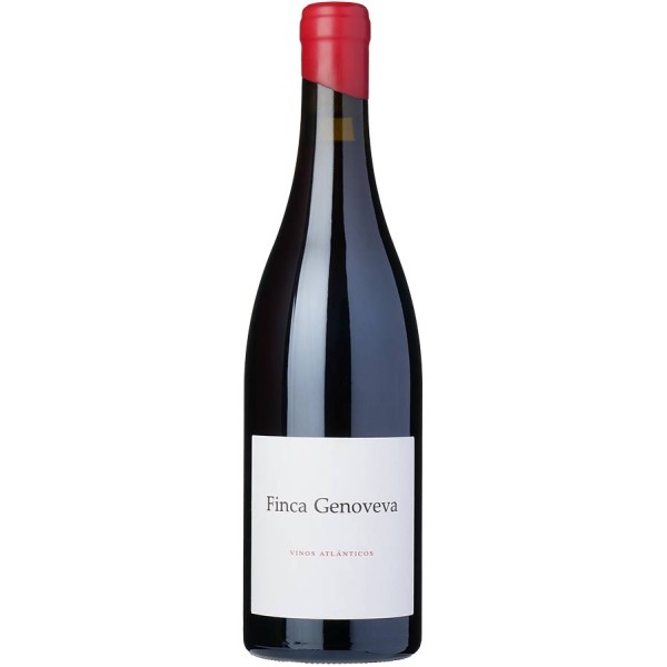 Finca Genoveva Caíño 2022