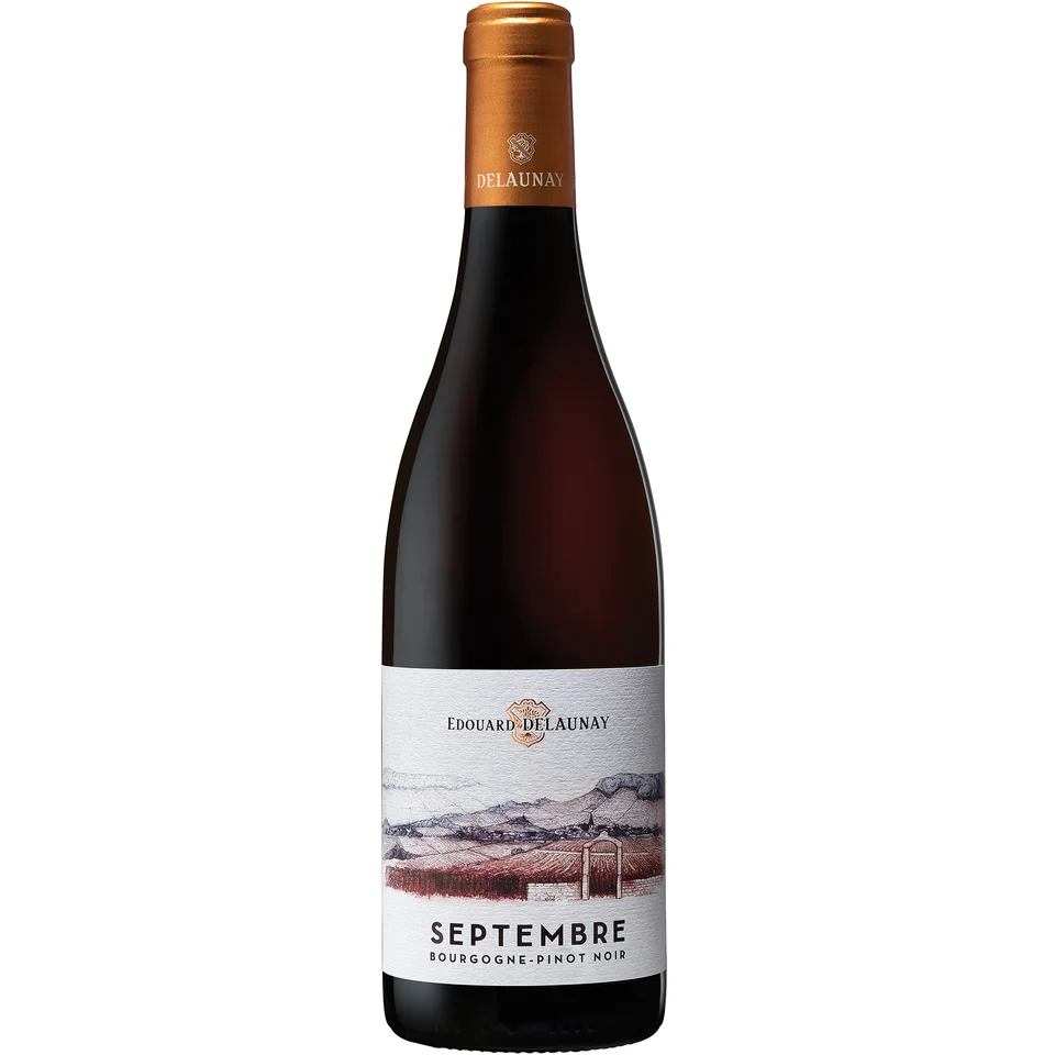 2022 Bourgogne Pinot Noir  Septembre Edouard Delaunay